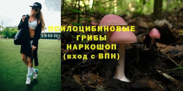 мет Козельск