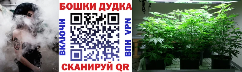 Канабис MAZAR Сухиничи